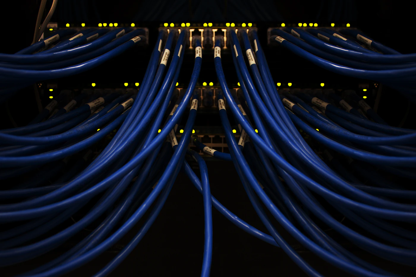Organised blue network cables connected to an office network switch